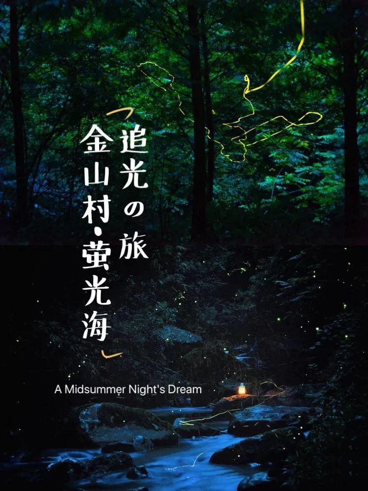 口袋侏罗纪