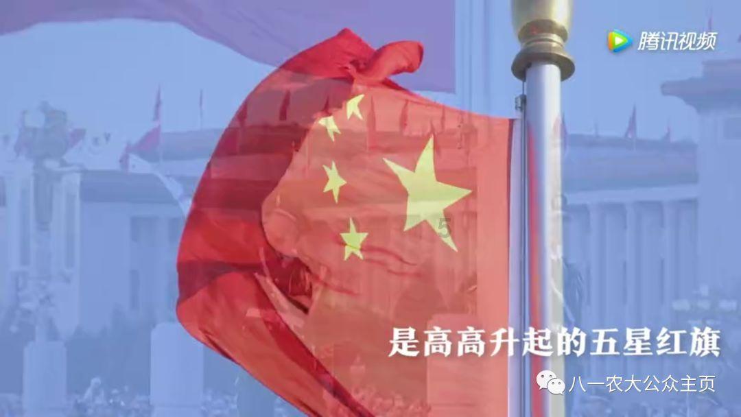 豆娃爱糖果3