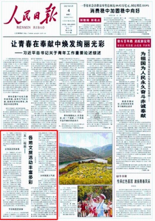 白玉兰绽放海上,焕活城市美学徽章