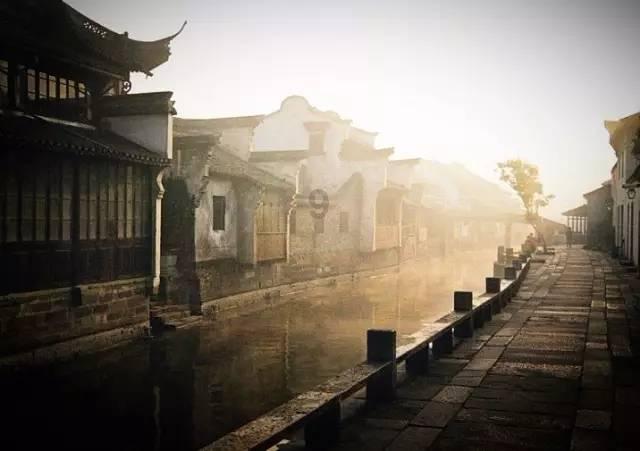 救援鹦鹉